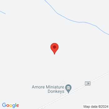 map of 42.9408,-75.82567